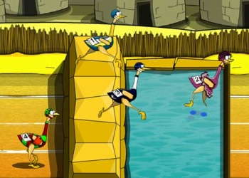Big Bird Racing