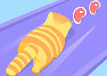 Cat Evolution