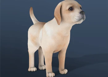 IDLE Pet
