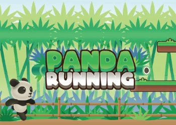 Panda Running