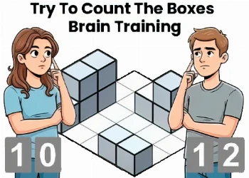 Try To Count The Boxes Brain Training